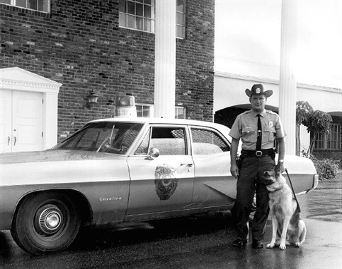 Police Officer with police dog