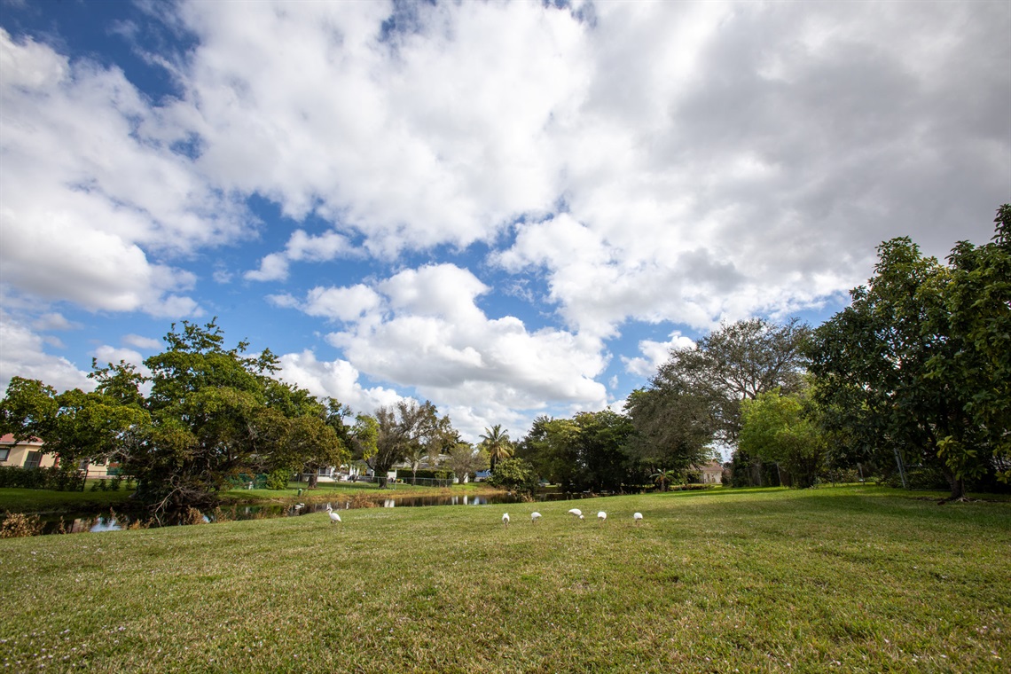 Chevy Chase South an open grassy field park with trees.