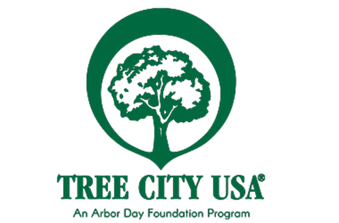 Tree City USA City of Coral Springs