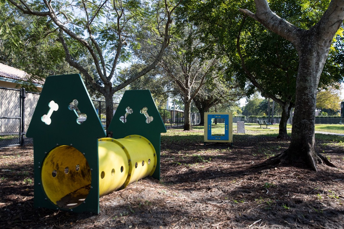Dog Park