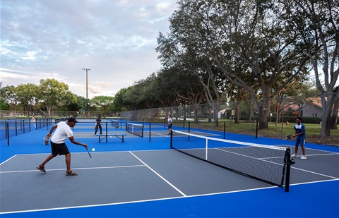 Pickle Ball