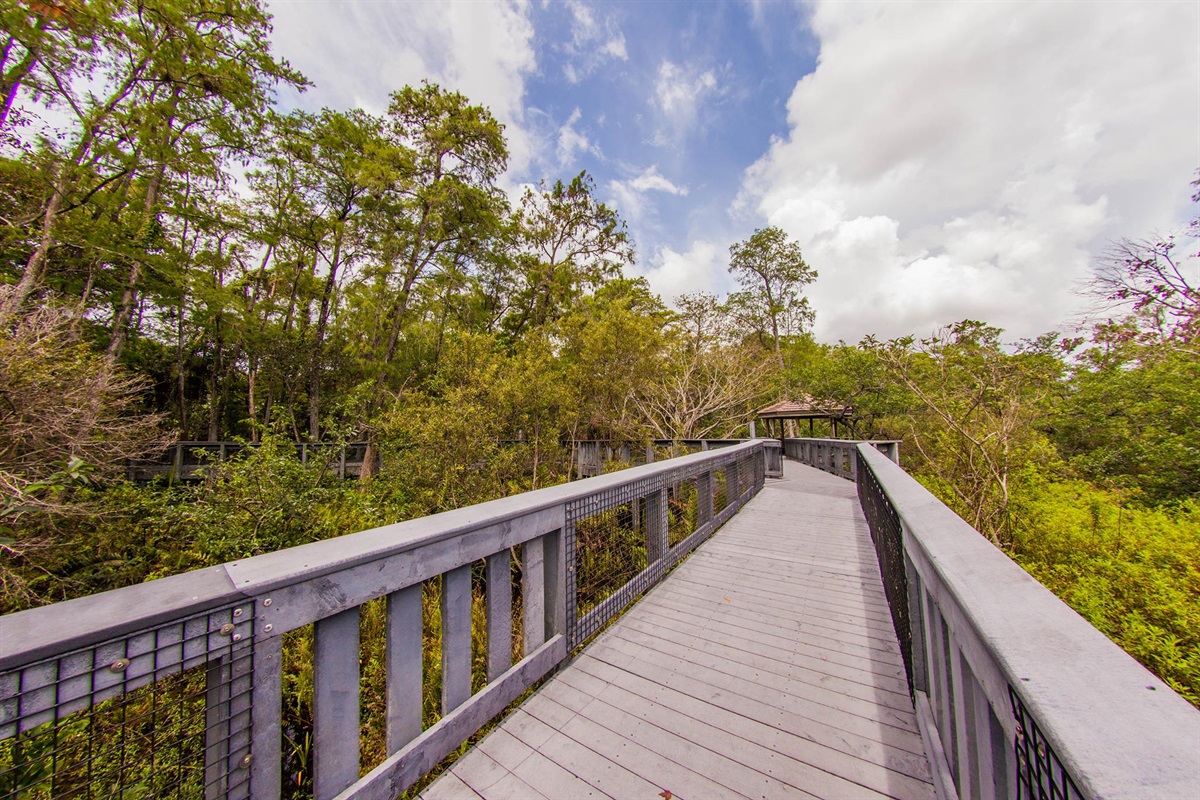 Tall Cypress Natural Area - City of Coral Springs