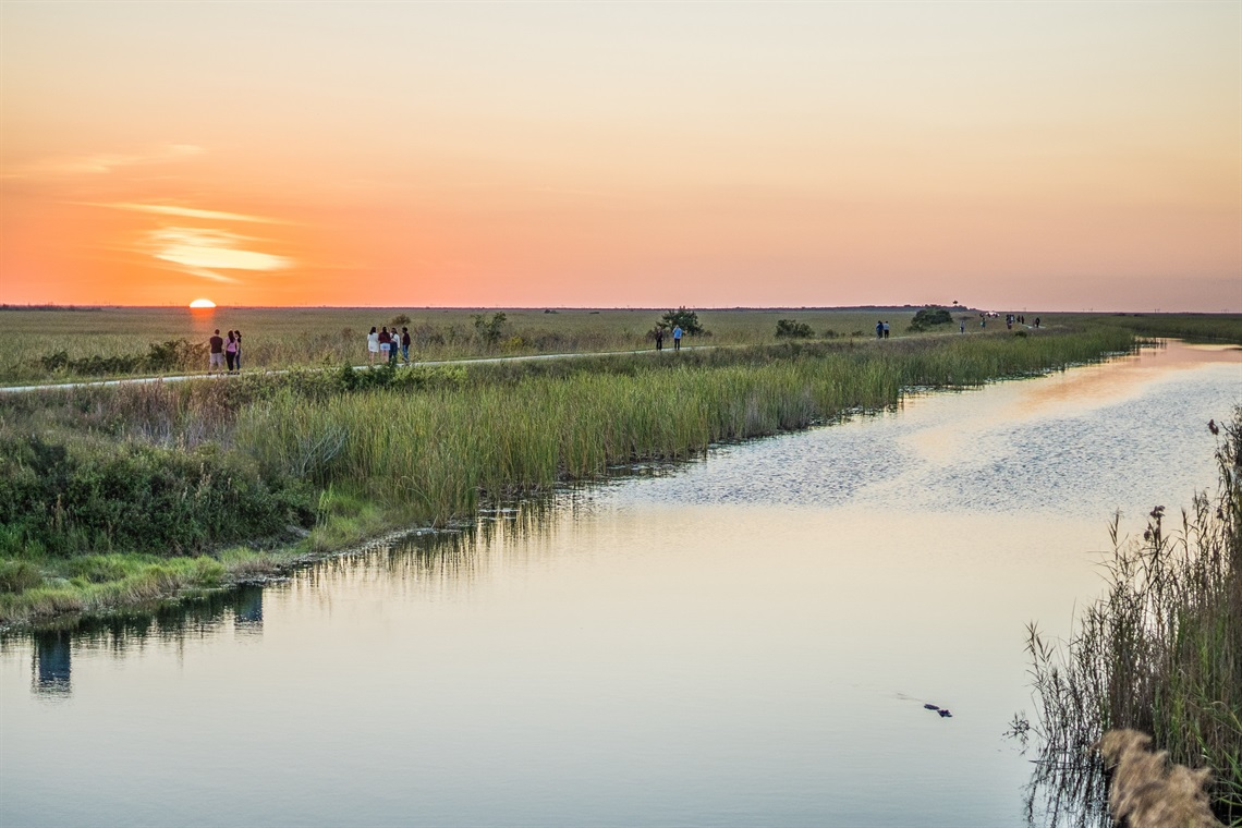 Sawgrass Trail.jpg