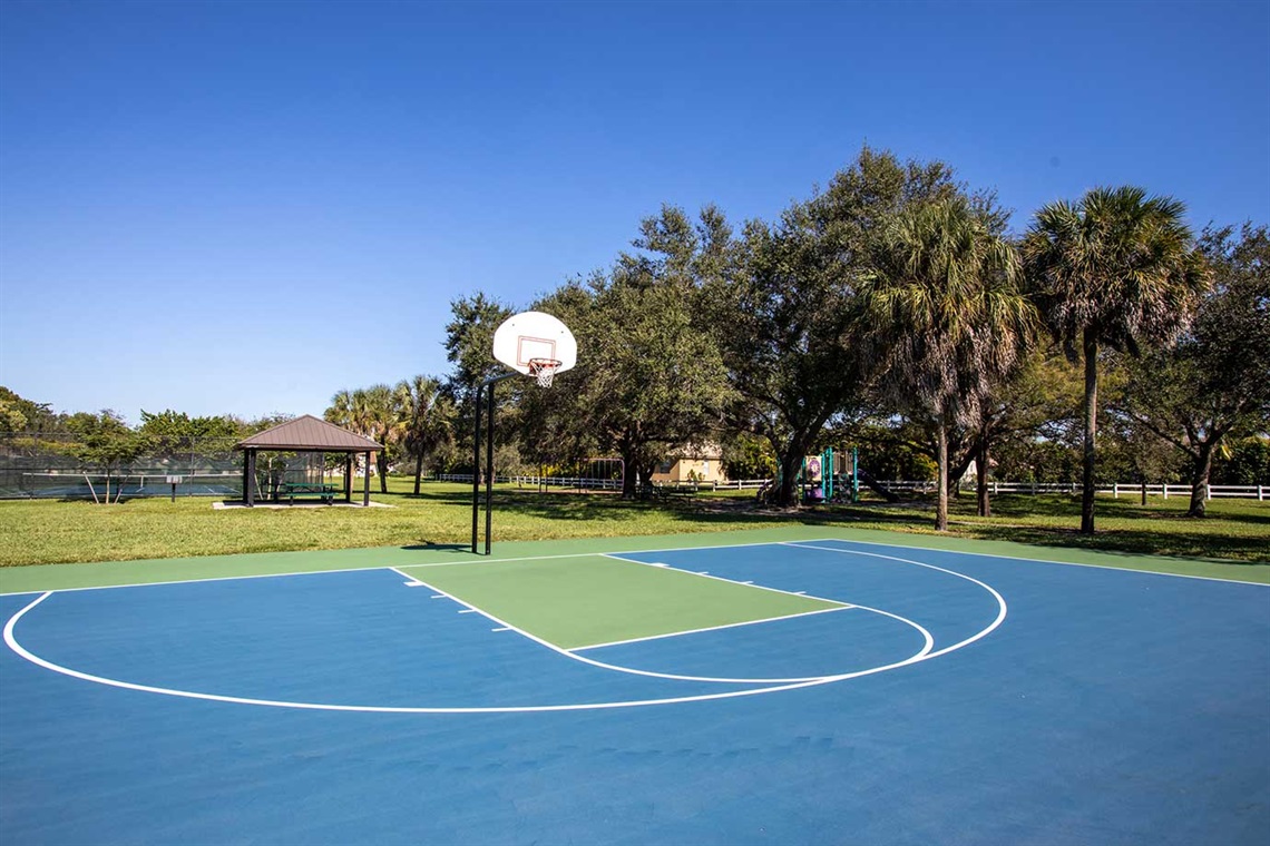 Basketball Court